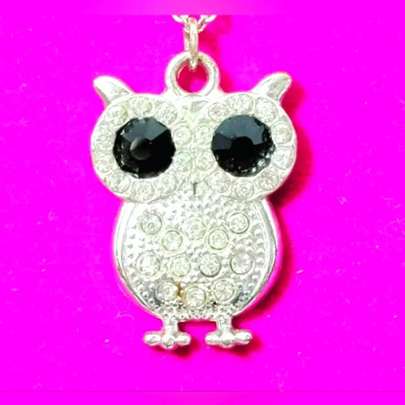 Source Unknown Jewelry - Vintage Silver Owl Pendant Necklace - Big Black Rhinestone Eyes